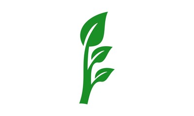 eco leaf vector icon