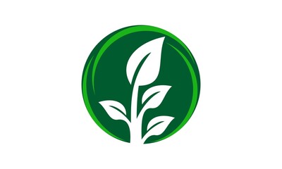 natural green leaf logo