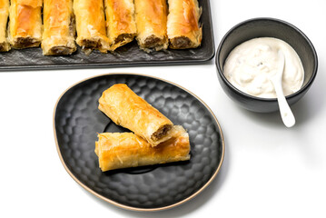 Meat rolls pastry - fried minced pork meat in spring rolls in a black oval plate, isolated on white background with stacks of rolls. Selective focus. Top View