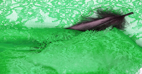 lace fabric. bird feather. lace color green on a white background. Texture, pattern. When it's time to choose the right pattern for your needs, you can count on my textures.