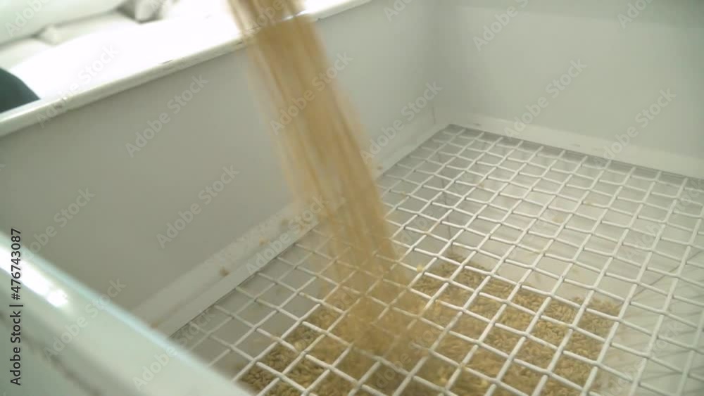 Poster grains pouring on grain screening machine with mesh filter. close up