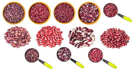 set of various red beans cutout on white