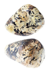 set of sanidine and nepheline rocks cutout