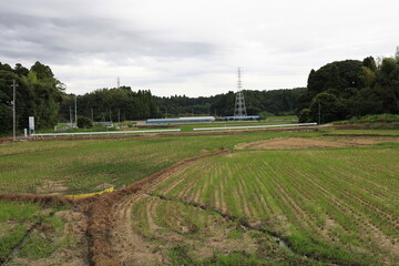 田舎の景色