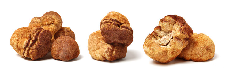 hericium erinaceus on white background © zcy