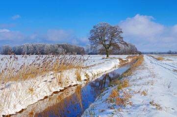 Spreewald im Winter - Spreeforest in cold winter
