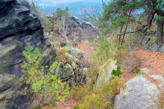Sandsteinfelsen im Elbsandsteingebirge im Herbst -  Sandstone rocks in the Elbe Sandstone Mountains