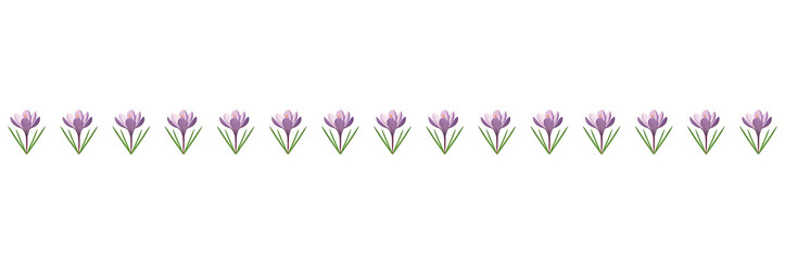 Krokusy linia © Monika Janiak-Klicha