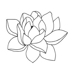Set of Lotus flower and leaf hand drawn botanical illustration with line art on white backgrounds.