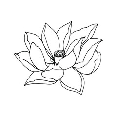 Set of Lotus flower and leaf hand drawn botanical illustration with line art on white backgrounds.