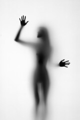 silhouette of a beautiful sexy young woman