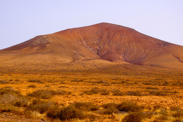 Landscape view with red volcanic earth in the center of the Canary Island of Fuerteventura