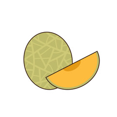 Melon vector. melon on white background. wallpaper. symbol. logo design. melon poster.