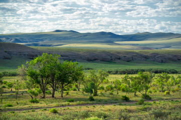 Fototapeta na wymiar steppe, prairie, veld, veldt - The largest steppe region in the world, often referred to as the 
