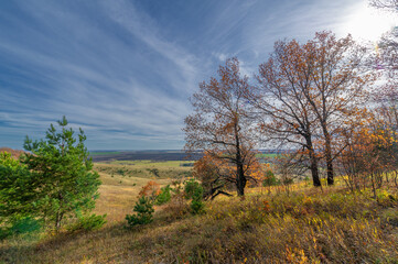 Obraz na płótnie Canvas Autumn landscape photography, the European part of the Earth. Ru