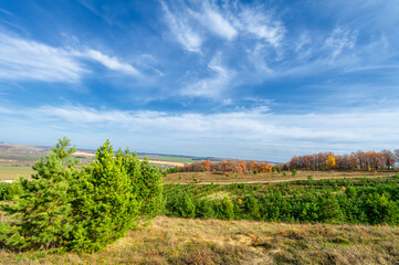 Fototapeta na wymiar Autumn landscape photography, the European part of the Earth. Ru
