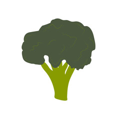 broccoli isolated on white background