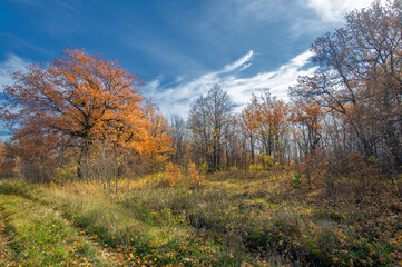 Autumn landscape photography, the European part of the Earth. Au