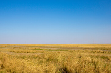 steppe against the background on the horizon under a cloudy sky. Kazakhstan