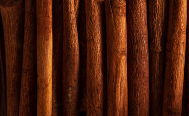 macrophotography of cinnamon sticks. top view