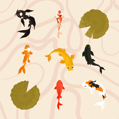 koi fishes traditional