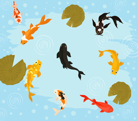 koi fishes floating