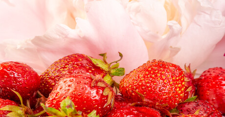 Food berry. Strawberries in flowers. a sweet soft red fruit with