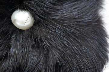 Fur of a wild beast. Feminine decoration. it is a thick hairline covering the skin of many animals....