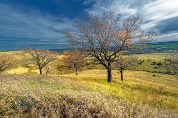 Fototapeta na wymiar Autumn landscape photography, the European part of the Earth. Vi