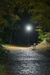 Nachtszene - Nebelweg in der dunklen Nacht mit einer Straßenlampe im Herbst