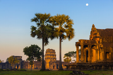 Angkor Wat temple in the dawn, Cambodia - obrazy, fototapety, plakaty