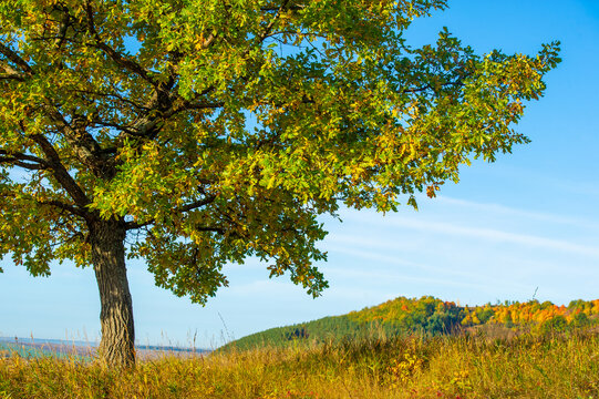 Autumn Landscape, Deciduous Forest. Our Autumn Photo Gallery Is Full Of Landscapes Showcasing Beautiful Autumn Colors From Many Areas