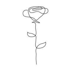 Illustration of Line Art rose, flower outline, continuous line. Vector Graphics