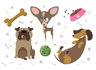 Obraz premium Dogs pug, dachshund, chihuahua. A set of pets with toys and a bowl