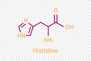 Histidine chemical formula. Histidine structural chemical formula isolated on transparent background.