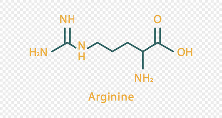 Arginine chemical formula. Arginine structural chemical formula isolated on transparent background.