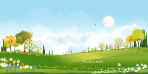 Foto op Aluminium Spring green fields landscape orang, blue sky and clouds background,Panorama peaceful rural nature in springtime with green grass land in morning. Cartoon vector for spring and summer banner © Anchalee