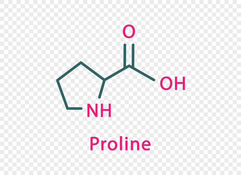 Proline chemical formula. Proline structural chemical formula isolated on transparent background.