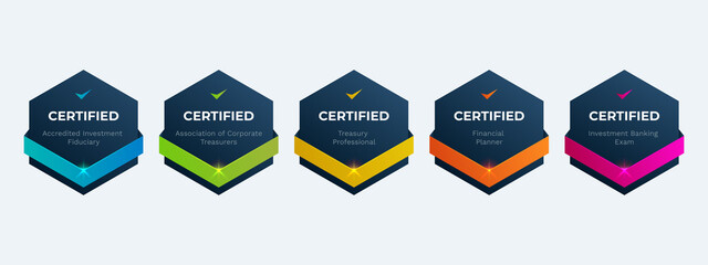 Information Technology Qualifications Certification Badge Design Template. Certified Company Examination Logo by Criteria. - obrazy, fototapety, plakaty