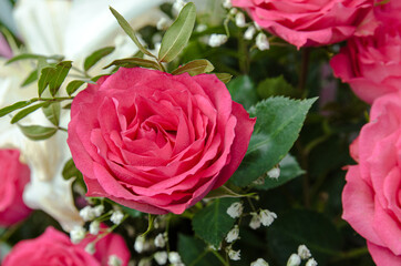 bouquet of pink roses close-up