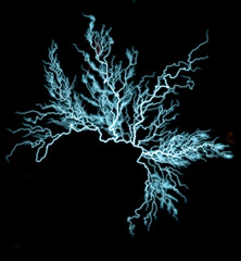 Thunderbolt. Realistic lightning. Electricity thunder light storm flash thunderstorm in cloud. A collage of lightning bolts on a black background.