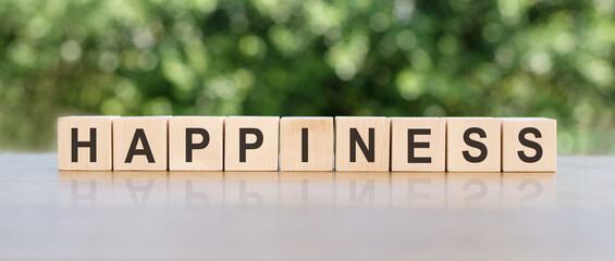 Happiness word written in cubes on a green background