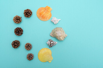 New Year card. Cones and shells on a mint background. The idea of the transition of seasons. View from above.