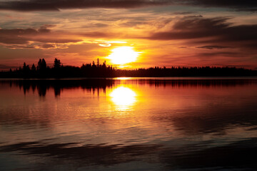 Fototapeta na wymiar Pink sunset over lake with black silhouette tree line