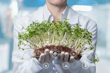 Laboratory assistant shows sprouts with roots .