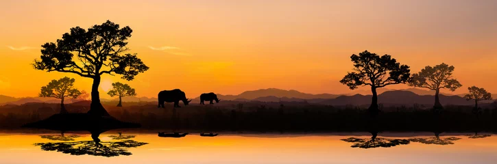 Tuinposter zonsondergang in afrika, safari met wilde dieren. giraffen tegen de achtergrond van de zonsondergang in de savannah.Amazing. Panorama silhouet boom in africa.with vervagen schaduw technieken. © Mohwet