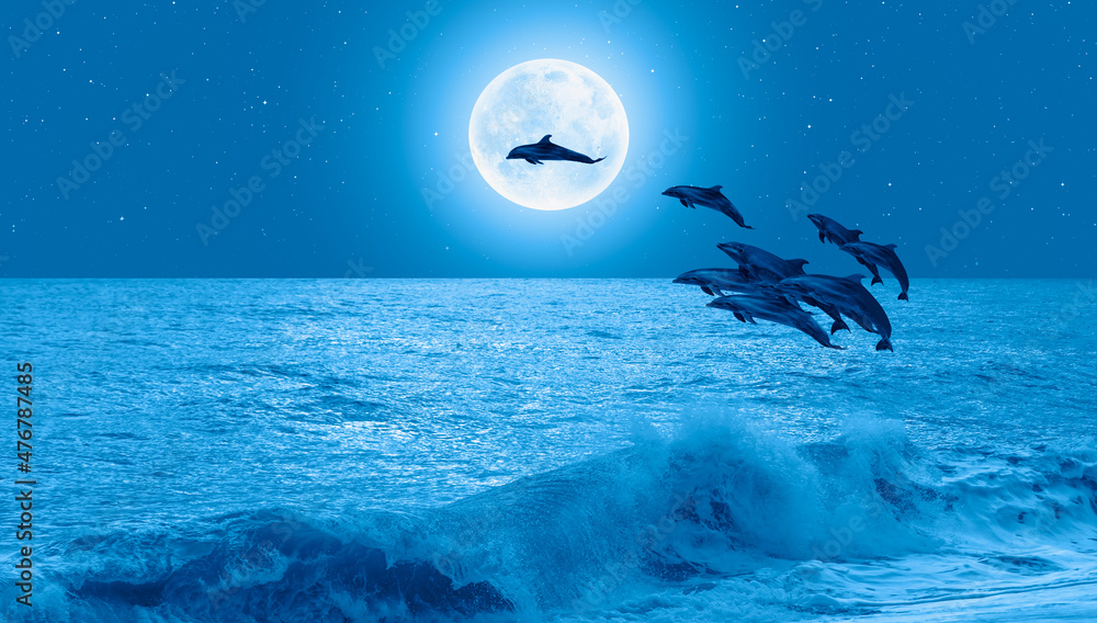 Poster silhoutte of beautiful dolphin jumping up from the sea at sunset with full moon 