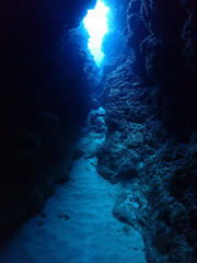 石垣島・美ら海海底の洞窟