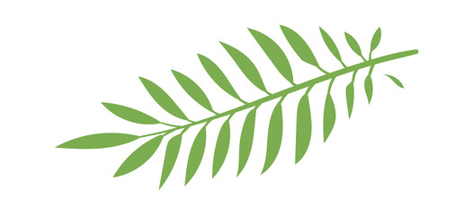 Palm green leaf for paradise isolated on white background. Green leaf nature, summer tropical palm rainforest, vector illustration