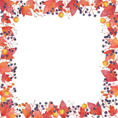 Postcard template with watercolor branches of elderberry and autumn leaves, hand-painted on a white background